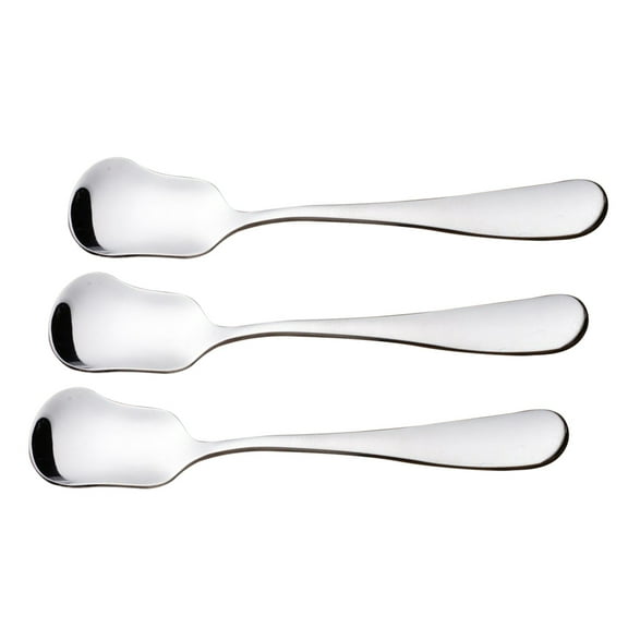 CATIEBYE 3PCS Small Sugar Spoon Stainless Steel For Adults Food Serving