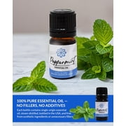 Essence Peppermint Essential Oil, 5 mL – Aromatherapy Oil for Diffuser
