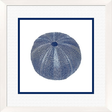 PTM Images Sea Urchin Shell Gicl e I Framed Graphic Art