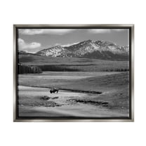 Stupell Industries Bison in Mountain Scene Landscape Photography Gray Floater Framed Canvas Art Print Wall Art, 31 x 25