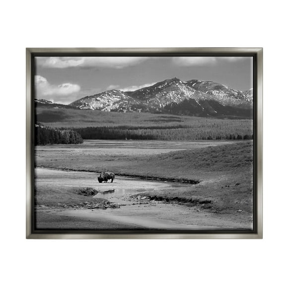 Stupell Industries Bison in Mountain Scene Landscape Photography Gray Floater Framed Canvas Art Print Wall Art, 31 x 25