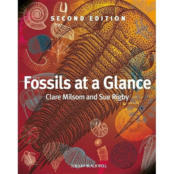 Fossils at a Glance, (Paperback)