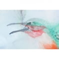 thumbnail image 4 of Evergreen Hummingbirds Garden Organza Flag, 4 of 4