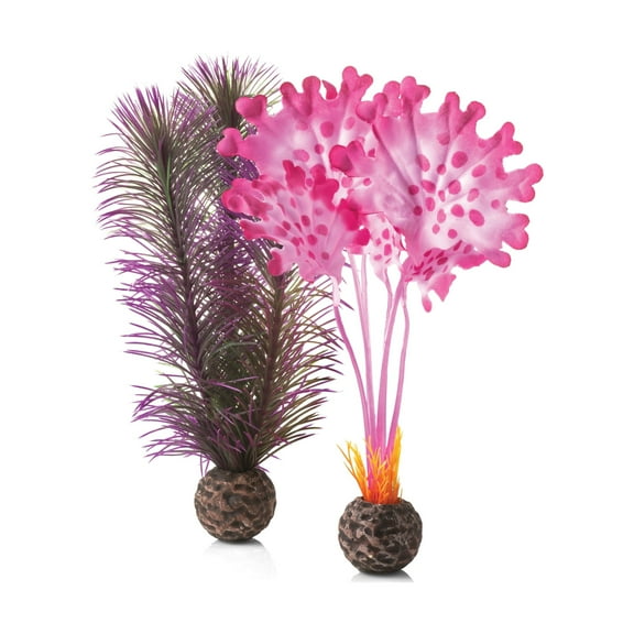 biOrb Small Pink Kelp Plant Set - Aquarium Plant Decoration