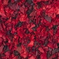 thumbnail image 5 of SAFAVIEH Rio Cassandra Confetti Polyester Shag Area Rug, Red/Multi, 6' x 6' Round, 5 of 7