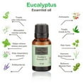 thumbnail image 5 of Karma Organic essential therapeutic grade quality Essential Oil (15ml) (Eucalyptus), 5 of 9