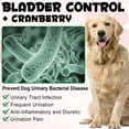 thumbnail image 5 of Oimmal Cranberry Urinary Tract for Dogs - Bladder & Kidney Health Supplement with D-Mannose - Supports UT Incontinence, Bladder Infections & Stones, Digestive Issues, 60 Soft Chews, 5 of 11