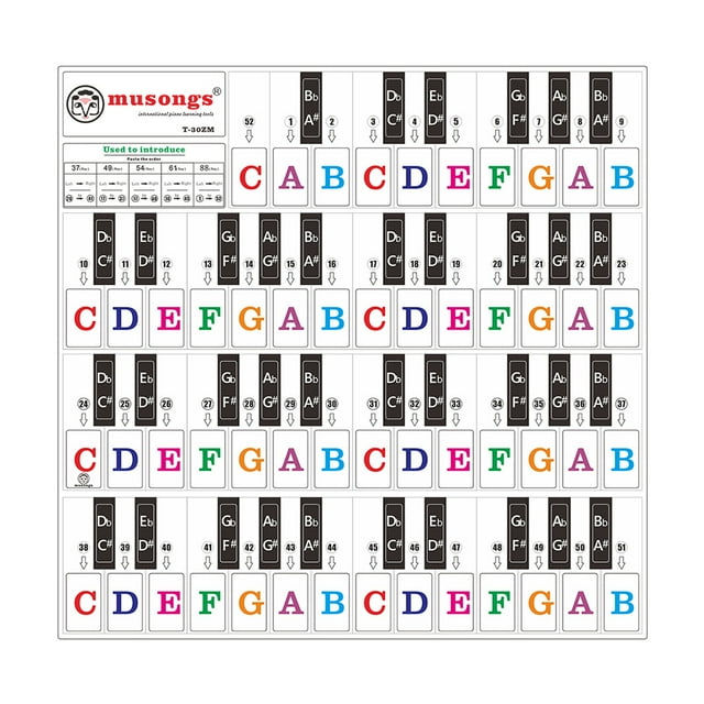Riwcyla Piano Keyboard Stickers for 37/ 49/ 61/ 88 Keys Keyboards Removable Transparent Bigger Colorful Letters for Beginners Piano Learning Practice