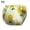 M pineapple, variant on Small Pet Diaper - Cotton Reusable Wrap for Squirrels and Pocket Pets with Fruit Print