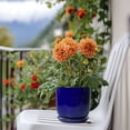 thumbnail image 3 of Ordivic 5 inch Round Blue Ceramic Planter with Drainage Hole & Saucer, Small Flower Pot for Succulents Cacti Mini Bonsai Indoor Home Office Decor, 3 of 7