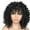 black, variant on 2. Natural-Looking Synthetic Curly Wigs Hairpiece For African Women, Fiber Headgear Quick Hairstyle