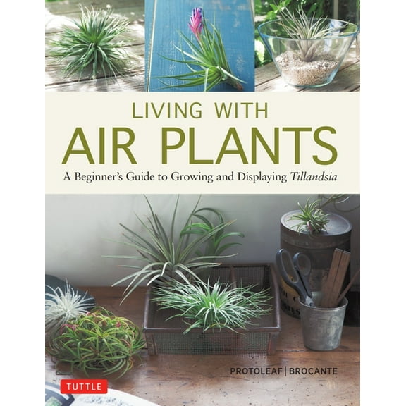 Living with Air Plants: A Beginner's Guide to Growing and Displaying Tillandsia, (Hardcover)
