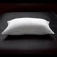 thumbnail image 6 of Ella Jayne MicronOne Allergy-Free White Goose Down Soft King Bed Pillow, 6 of 6