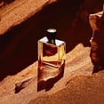 thumbnail image 4 of Perfume Hermes Terre D' Hermes Parfum 75 ml para hombre, 4 of 4