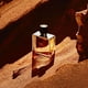 thumbnail image 4 of Perfume Hermes Terre D' Hermes Parfum 75 ml para hombre, 4 of 4