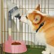thumbnail image 4 of Cuenco dispensador de agua para mascotas para perros y gatos | Botella de bola de lamedo a prueba de derrames de 650ml | Diseño plástico integrado - Rosa gris beige | Estación de bebida automática, 4 of 6