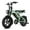 T16: Mint Green + Black, variant on 1000w Adult Off-Road Electric Bike, Five-Speed Transmission, 16-Inch Wide Tires, 48v15ah Removable Battery, Front And Rear Dual Disc Brakes With Dual Spring Shock Absorbers