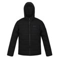 thumbnail image 1 of Regatta - Chaqueta Aislante Thermisto para Hombre (Negro) Regatta UTRG6463_black, 1 of 6