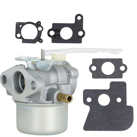 Carburetor 698055 690152 Carb Fit for 694203, 121602, 121607, 121612, 122602, 122612, 128612 Engines