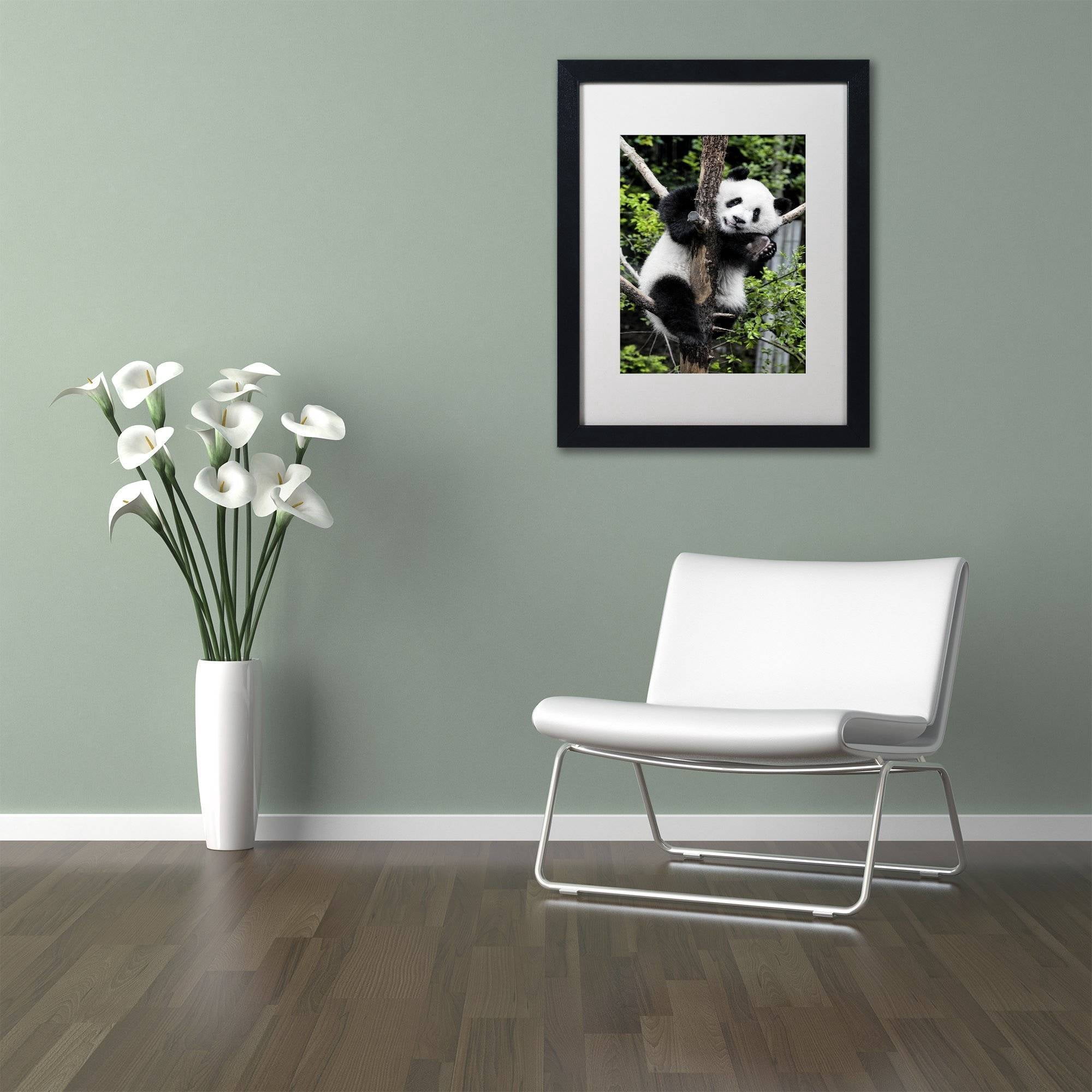 Trademark Fine Art "Giant Panda II" Canvas Art by Philippe Hugonnard, White Matte, Black Frame