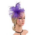 thumbnail image 2 of RUIG Women Girl Fascinators Hair Clip Hairpin Hat Feather Wedding Tea Party Hat Summer Headbands, 2 of 3