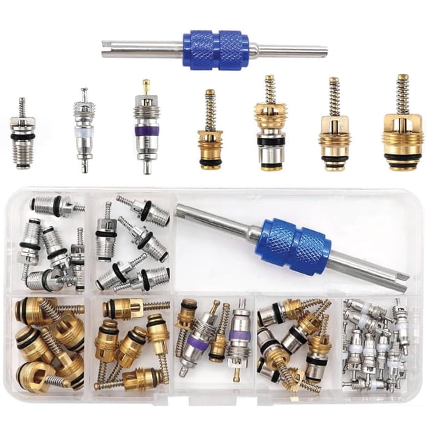 Kit de núcleo de válvula de aire acondicionado para reparación de aire acondicionado de automóvil y extracción de aire acondicionado