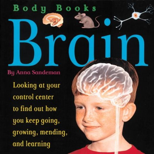 Brain (Paperback) by Anna Sandeman