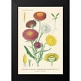 thumbnail image 2 of Wild Apple Portfolio 13x18 Black Modern Framed Museum Art Print Titled - Antique Botanical XL Light, 2 of 5