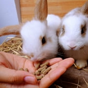 5 Pounds Timothy Complete Rabbit Food Pellets - Great for Small Pets