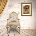 thumbnail image 3 of Zuckerman, Jim 11x14 Gold Ornate Wood Framed with Double Matting Museum Art Print Titled - Africa, Namibia Wild dog close-up, 3 of 4