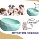 thumbnail image 5 of Cuencos de cerámica para perros, cuencos antideslizantes para comida y agua, cuencos inclinados para perros pequeños, 5 of 5