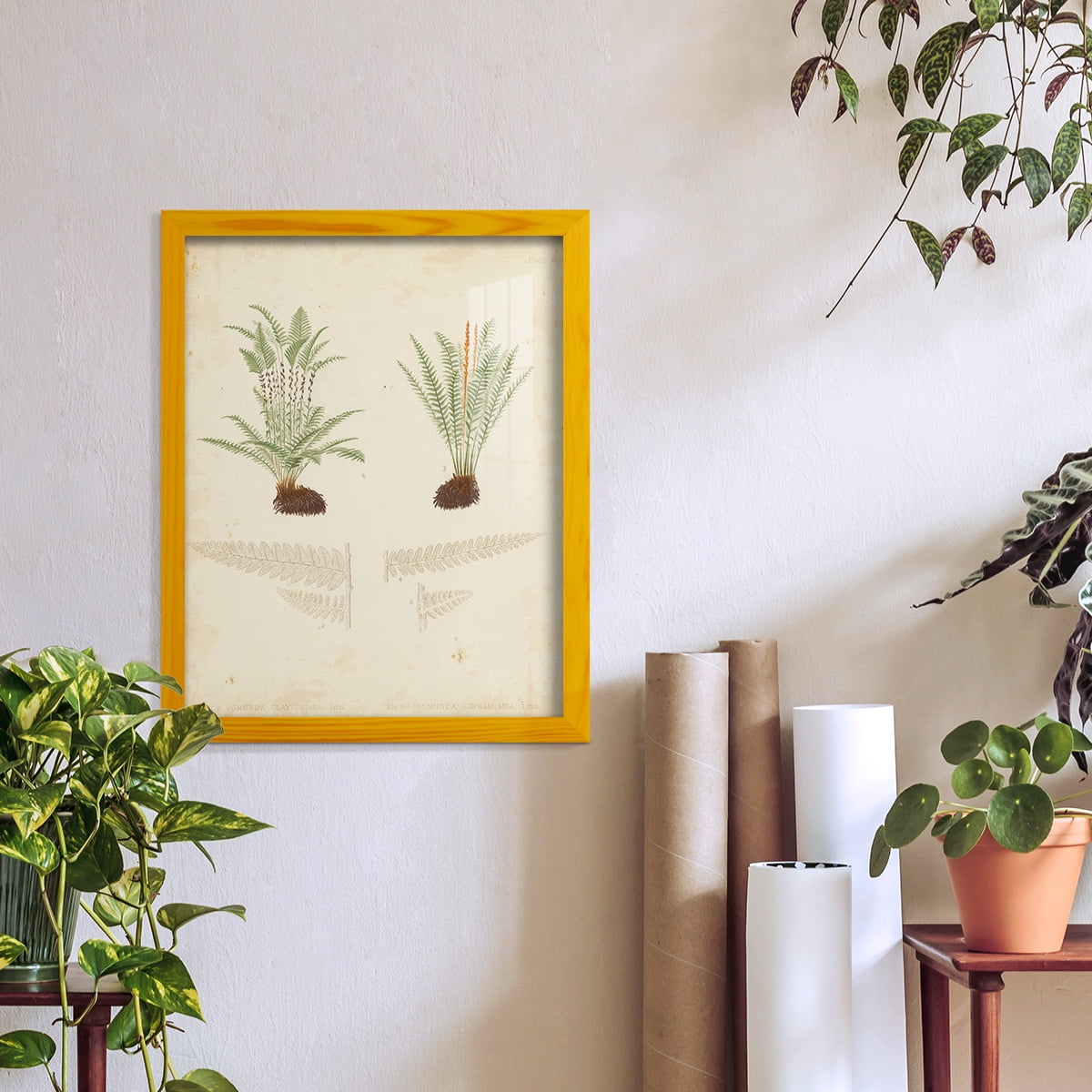 Fern Study III -Framed Print w/glass-Sunflower Yellow