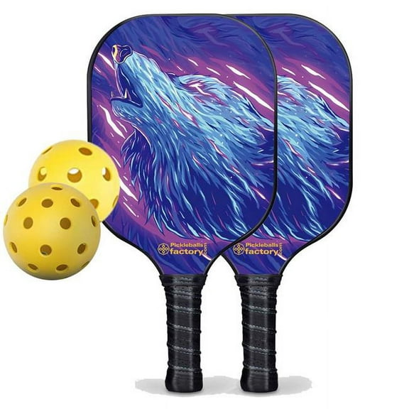 Pickleball Factory PB0001-2-G Pickleball Paddle Set, Glassfiber Graphite