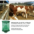thumbnail image 2 of Ranch Fly Trap with Bait Tray , Reusable Fly Trap Flay Catcher Cage for Indoor or Outdoor Family Farms, Park, Restaurants (2 Pack), 2 of 6