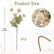 thumbnail image 4 of Flores Artificiales Briful 12 piezas Crisantemos de Seda Beige con Tallos de 33 cm, 4 of 8