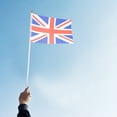 thumbnail image 3 of 50Pcs Plastic Flagpole DIY Plastic Flag Pole Sticks Flagpole Replacement for School Office, 3 of 9