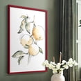 thumbnail image 5 of Watercolor Fruit Contour II Framed Print in Red Solid Wood 8 x 10 Framed Print, 5 of 6