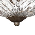 thumbnail image 2 of Hinkley Lighting - Plantation - 3 Light Medium Flush Mount in Traditional-Glam, 2 of 6