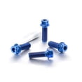 thumbnail image 3 of Titanium Front Caliper Pinch Bolt Kit DualDrive (TIFBCALIP40DD), 3 of 6