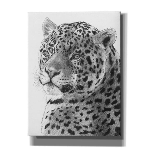 Epic Graffiti 'Placid' by Barbara Keith, Canvas Wall Art, 12"x16"
