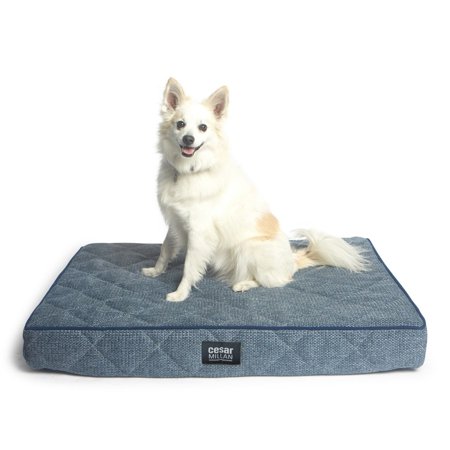 R2p Pet Cesar Millan Ortho Sleeper Mat Dog Bed Walmart Com