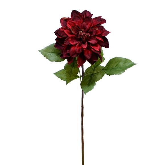 Tige de dahlia de 30 po Rouge