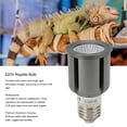 thumbnail image 3 of Bombilla Para Tomar El Sol UVA UVB, Brillante 3 En 1, 220 V, Lámpara De Calor Para Reptiles, Simulación De Luz Solar Para Tortugas, 3 of 7