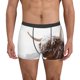 thumbnail image 1 of Balery Yak Calzoncillos bóxer para hombre, ropa interior de algodón suave y transpirable con cinturilla de nailon-Medium, 1 of 5