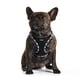 thumbnail image 5 of Arnés para perros AMTOR sin tirones, ajustable y reflectante para perros de talla XL, 5 of 6