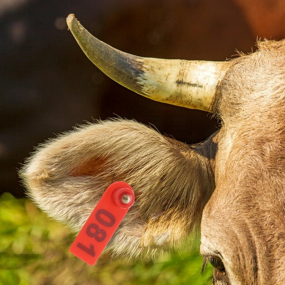 EXHUMKY 100Pcs Engraved Cattle Tags Tpu Red Identification Ear Tags for Sheep Goat Cow and Other Livestock