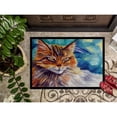 thumbnail image 3 of Maine Coon Cat Watching you Door Mat, 3 of 4