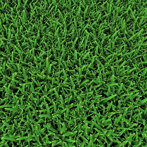 Nature's Seed Sun and Shade Grass Seed Mix - 5 Lb