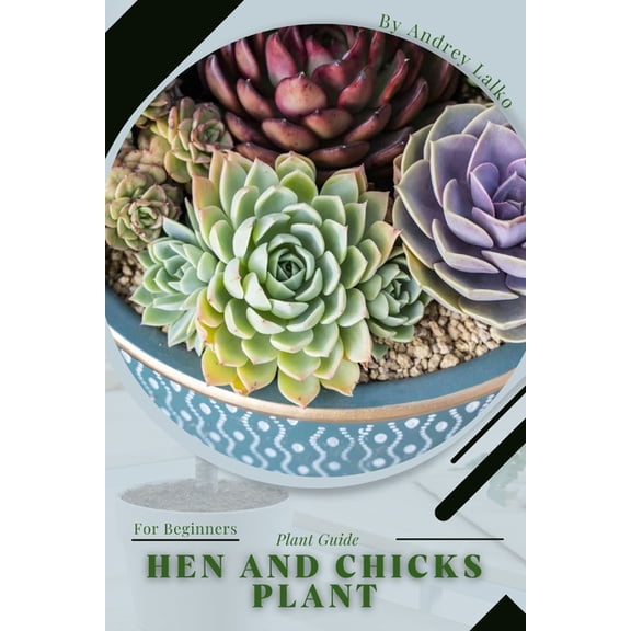 Hen and Chicks Plant: Plant Guide (Paperback)