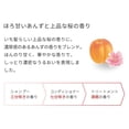 thumbnail image 4 of KRACIE ICHIKAMI Dense W Moisturizing Care Hair Care Set 480ml*2, 4 of 4